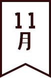 11月